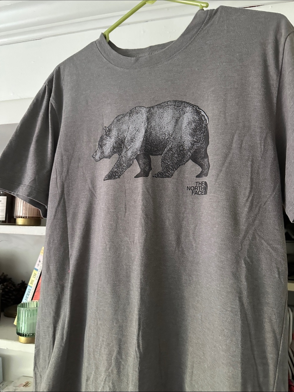 The North Face Men’s Gray Bear Graphic Short Sleeve Tee
